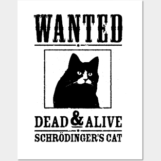 Schrodinger's Cat Posters and Art